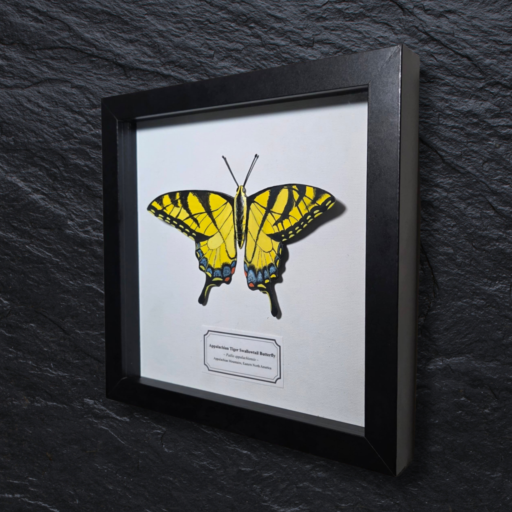 Faux Appalachian Tiger Swallowtail Butterfly