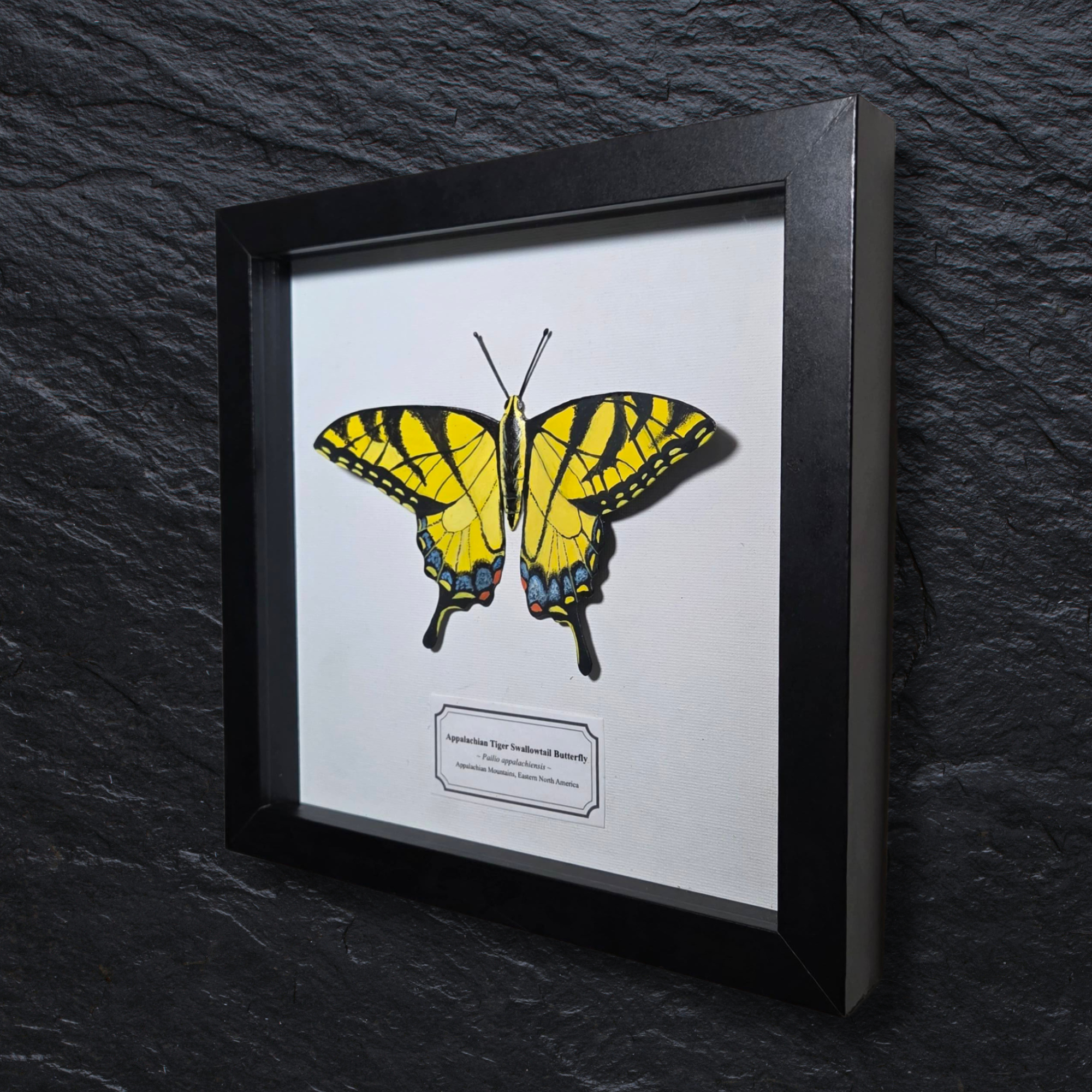 Faux Appalachian Tiger Swallowtail Butterfly