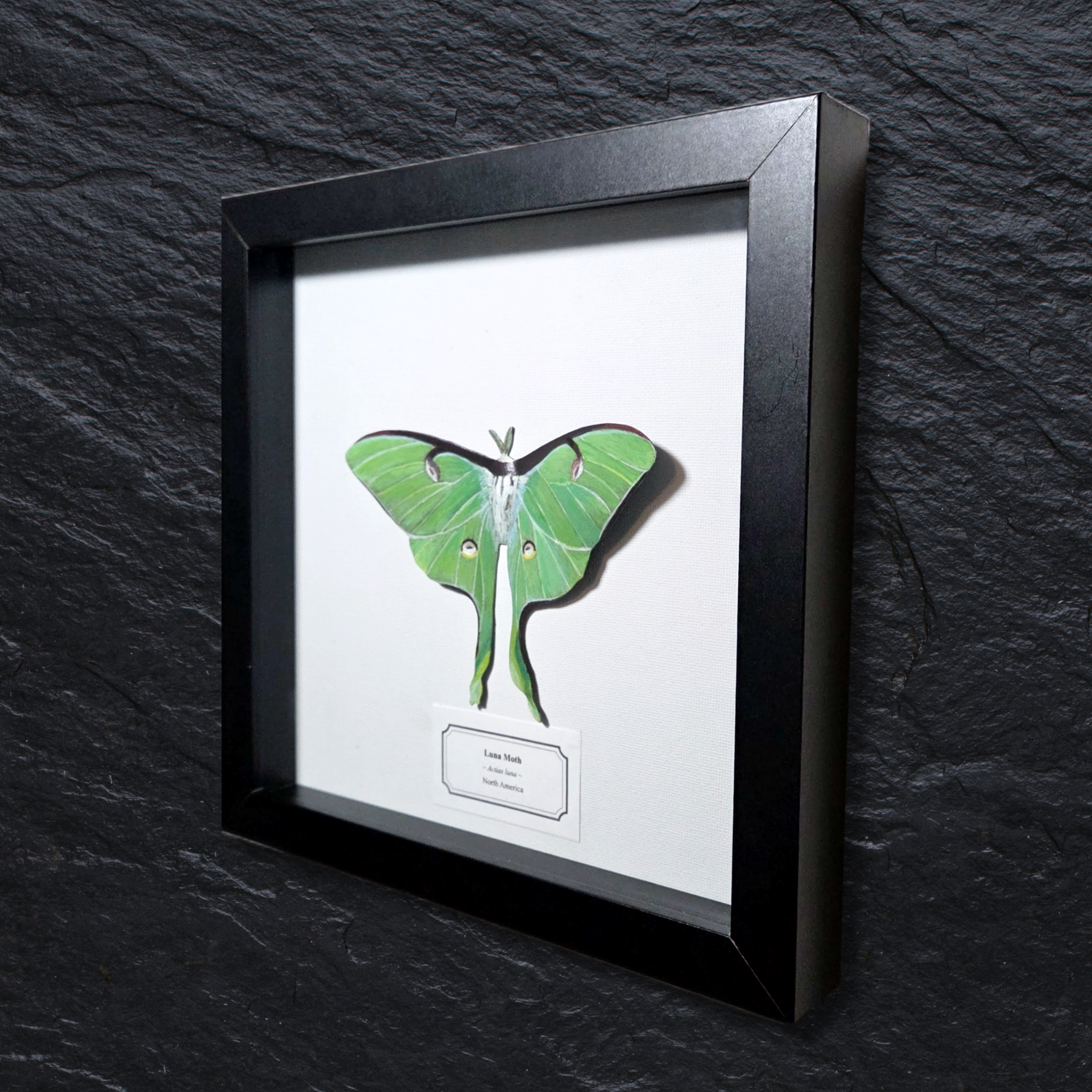 Faux Luna Moth
