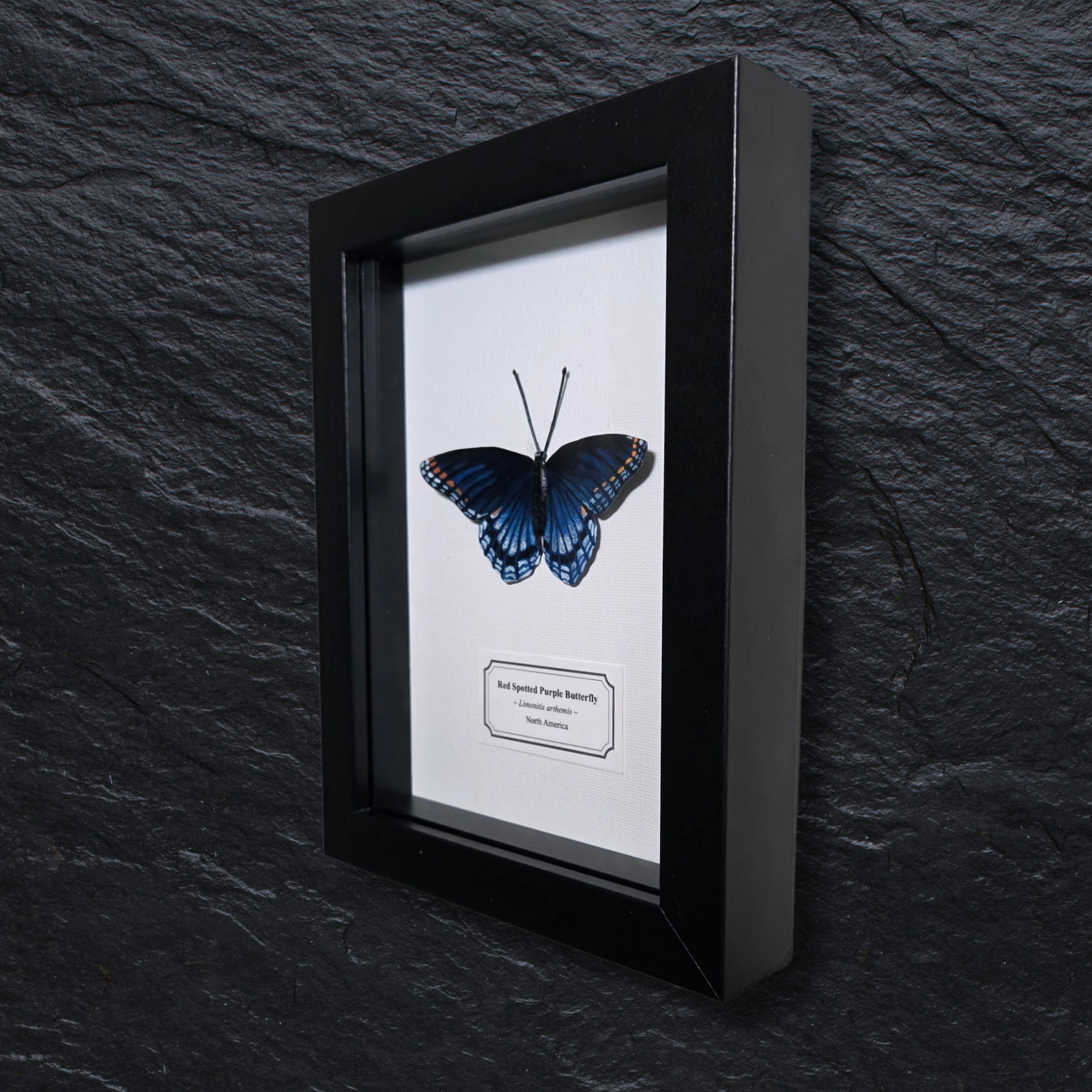 Faux Red Spotted Purple Butterfly