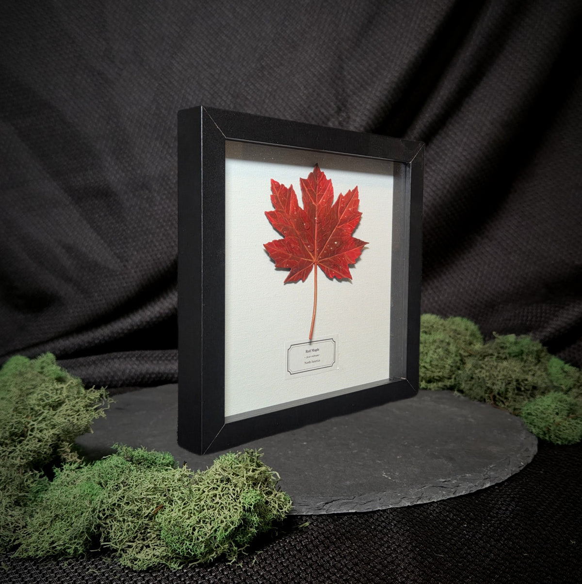 Faux Maple Leaf