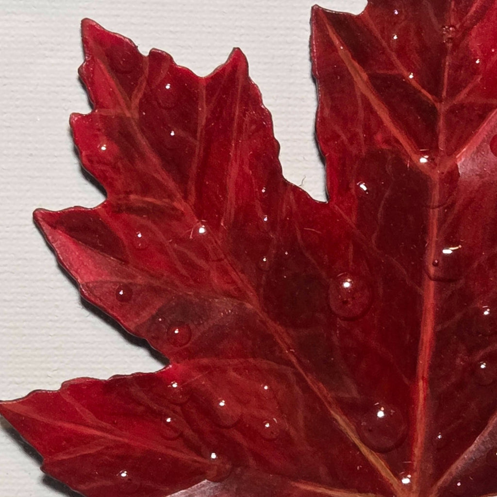 Faux Maple Leaf