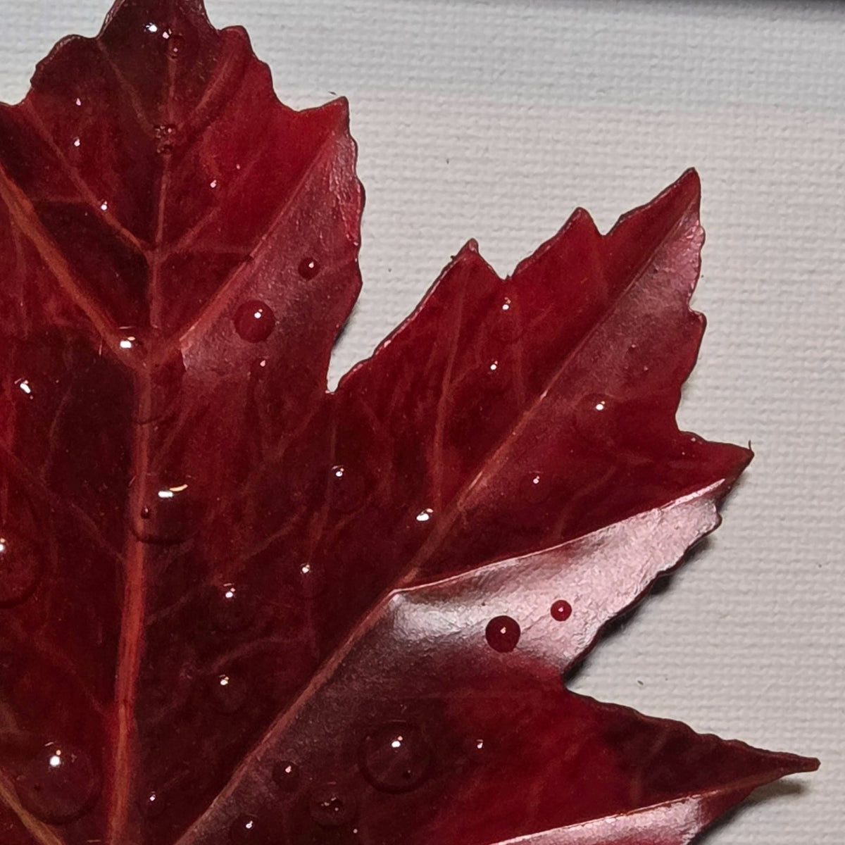 Faux Maple Leaf
