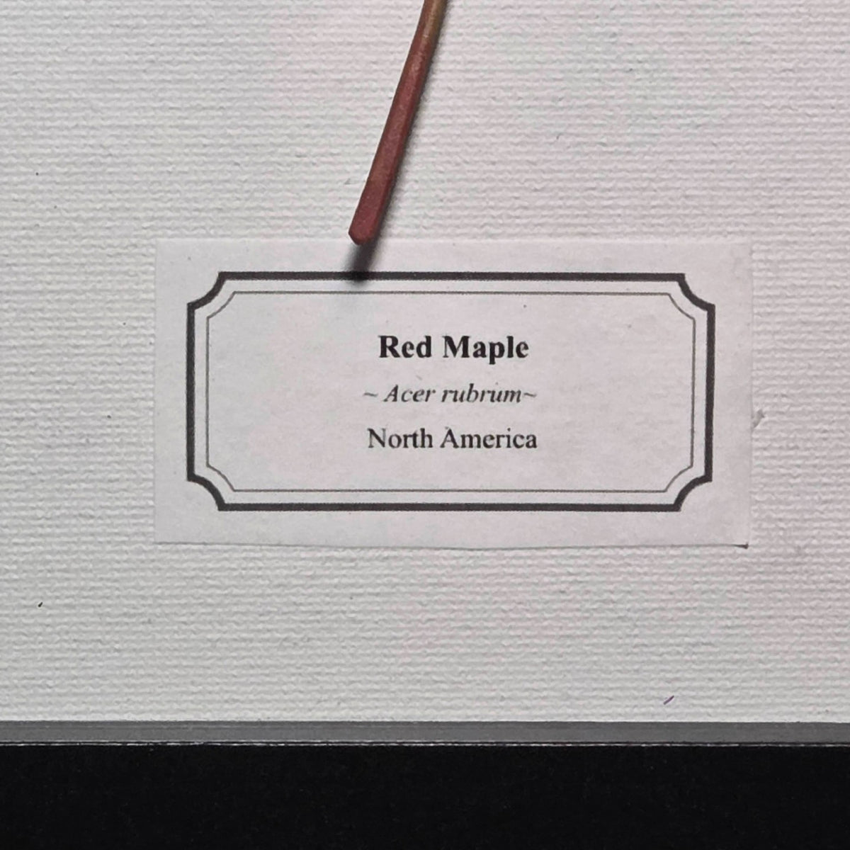 Faux Maple Leaf