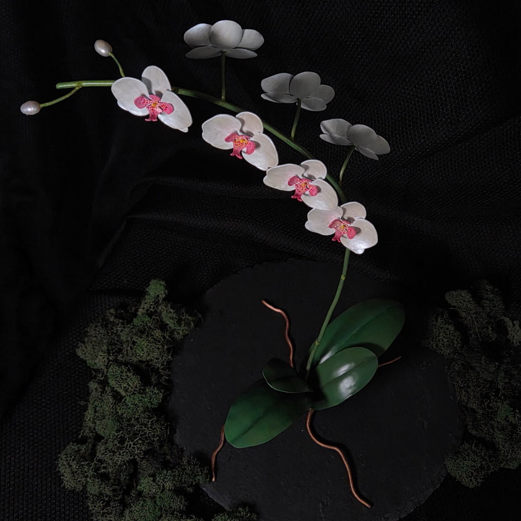 Moth Orchid Sculpture #1
