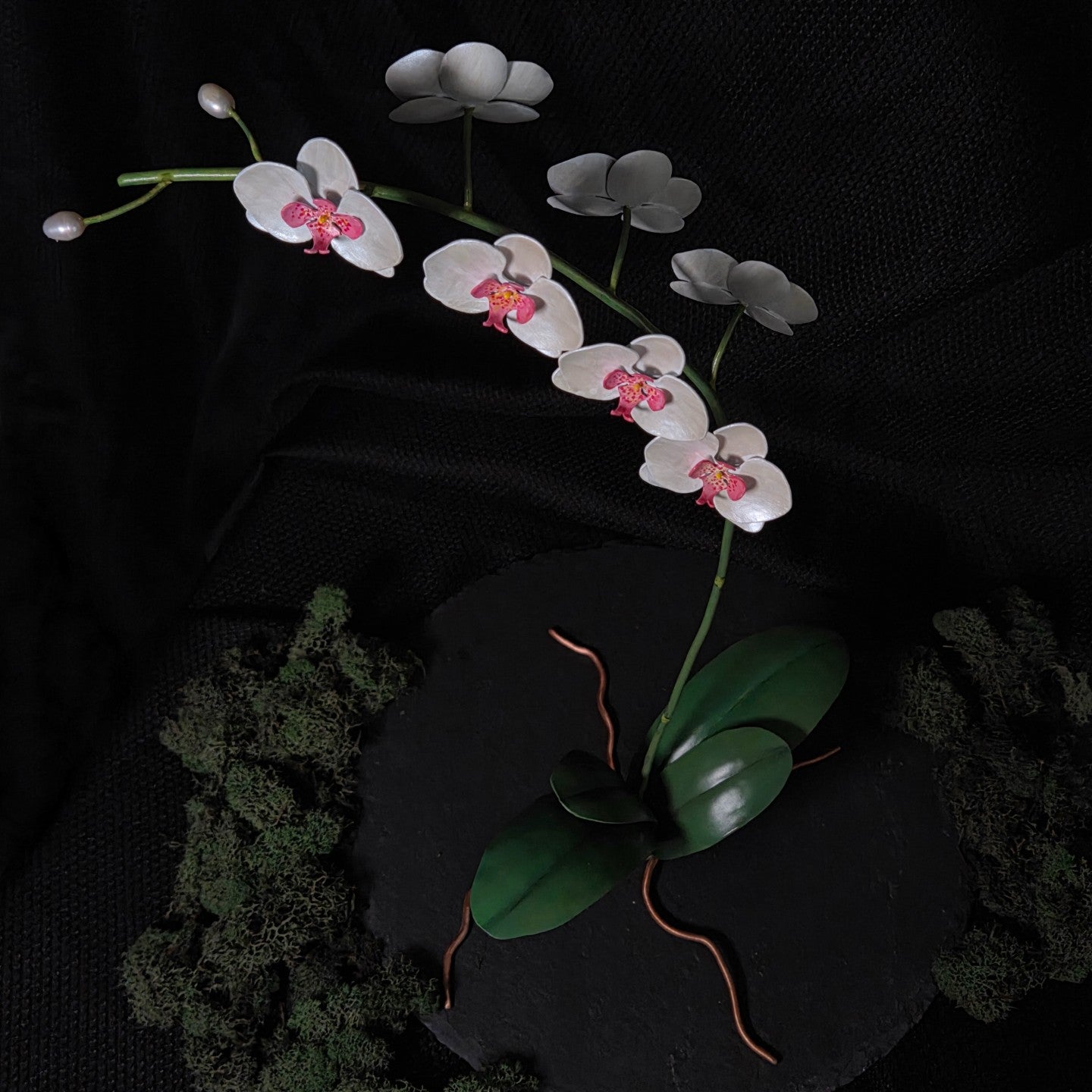 Moth Orchid Sculpture #1