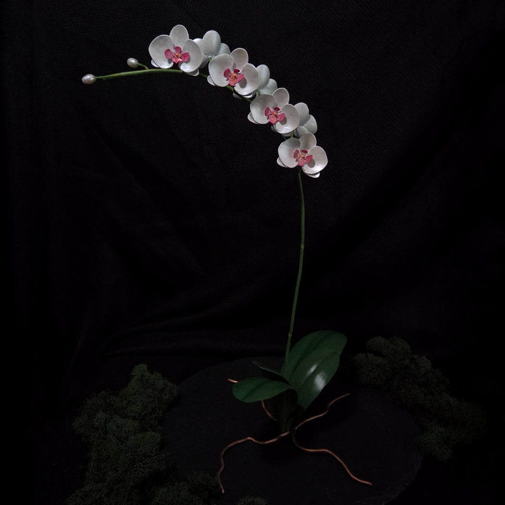 Moth Orchid Sculpture #1