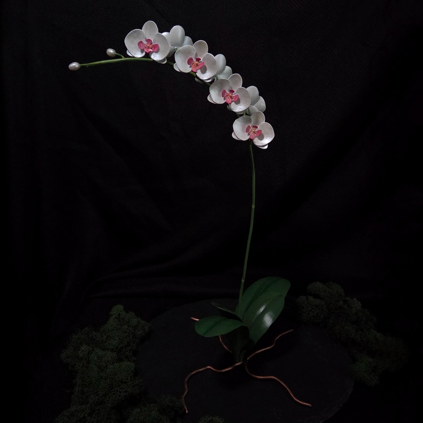 Moth Orchid Sculpture #1