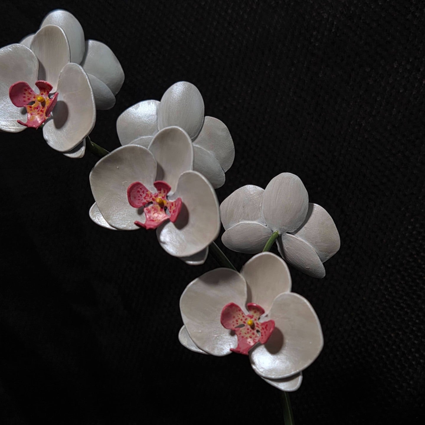 Moth Orchid Sculpture #1
