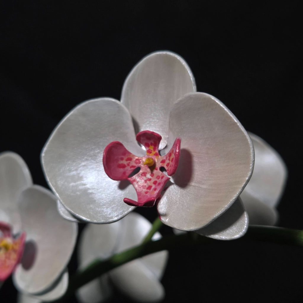 Moth Orchid Sculpture #1