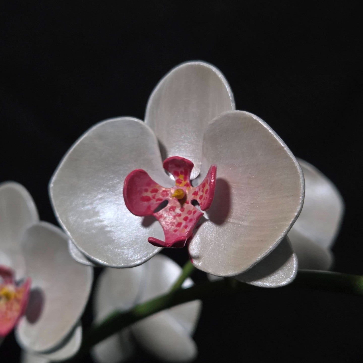 Moth Orchid Sculpture #1