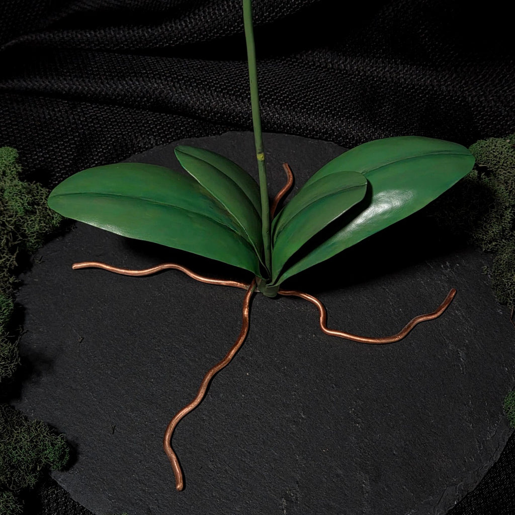 Moth Orchid Sculpture #1