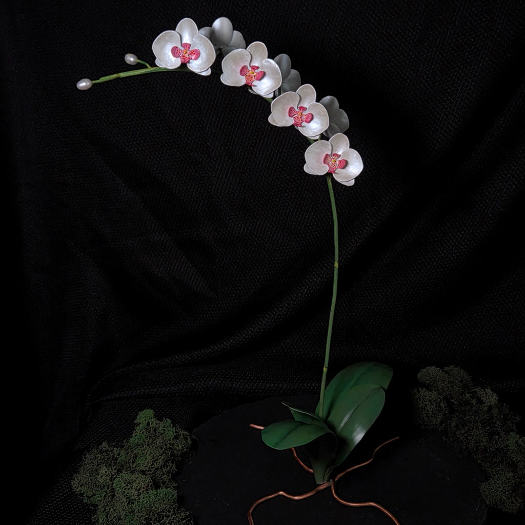 Moth Orchid Sculpture #1