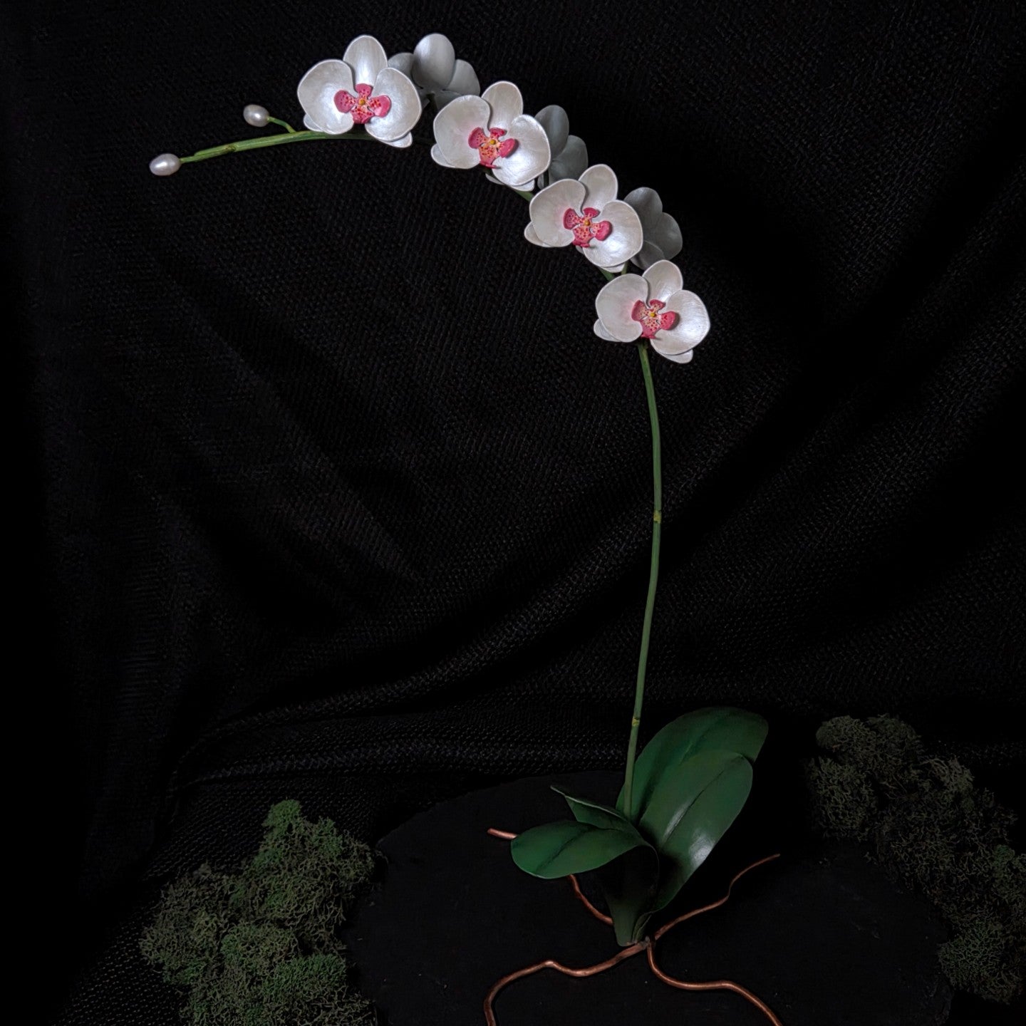 Moth Orchid Sculpture #1