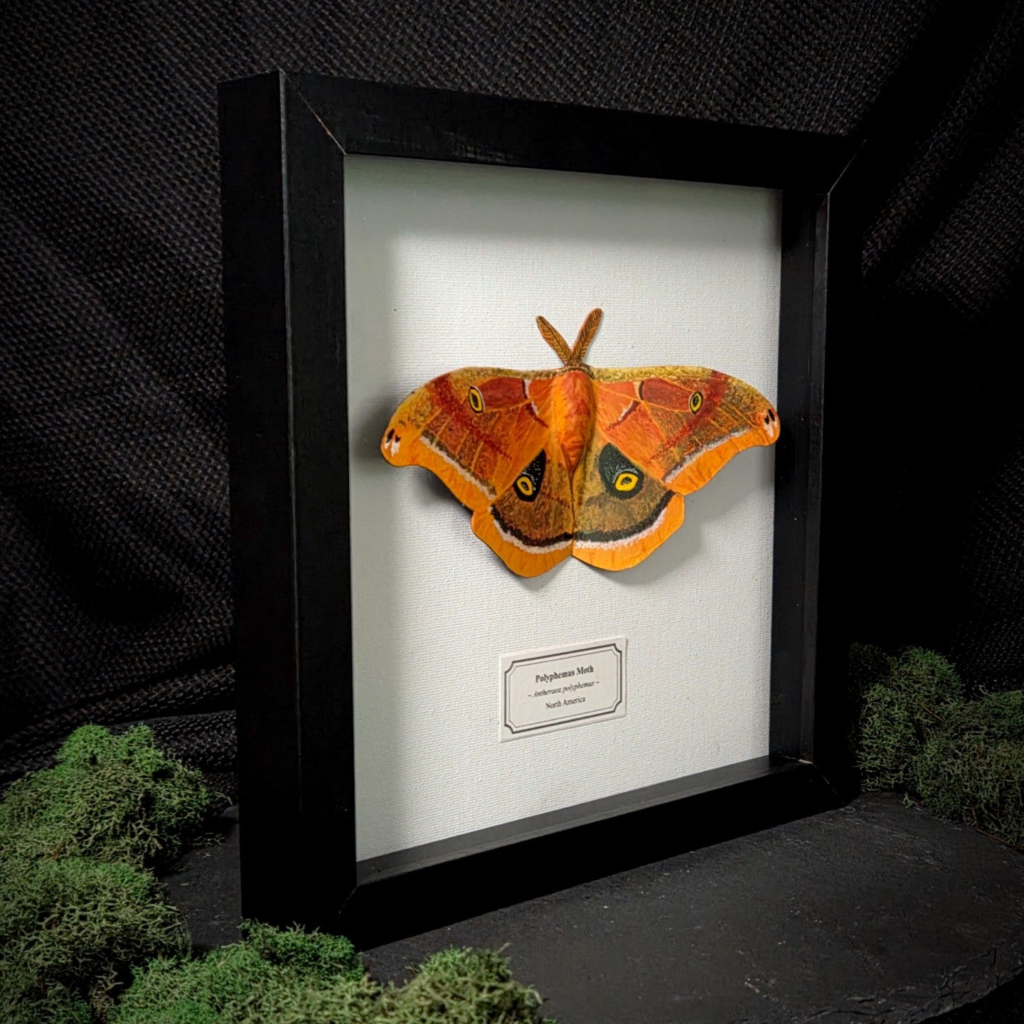 Faux Polyphemus Moth