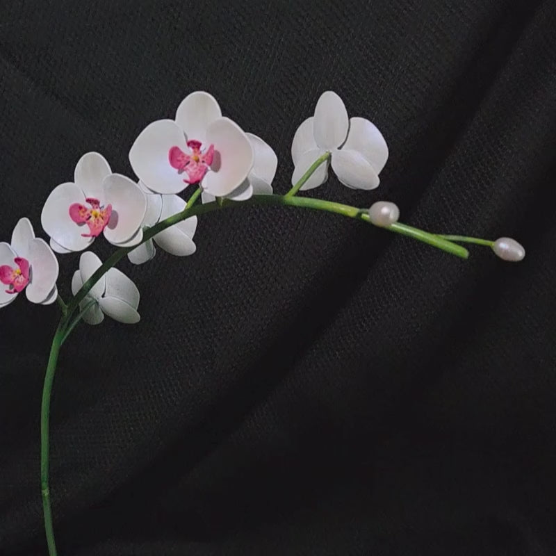 Moth Orchid Sculpture #1