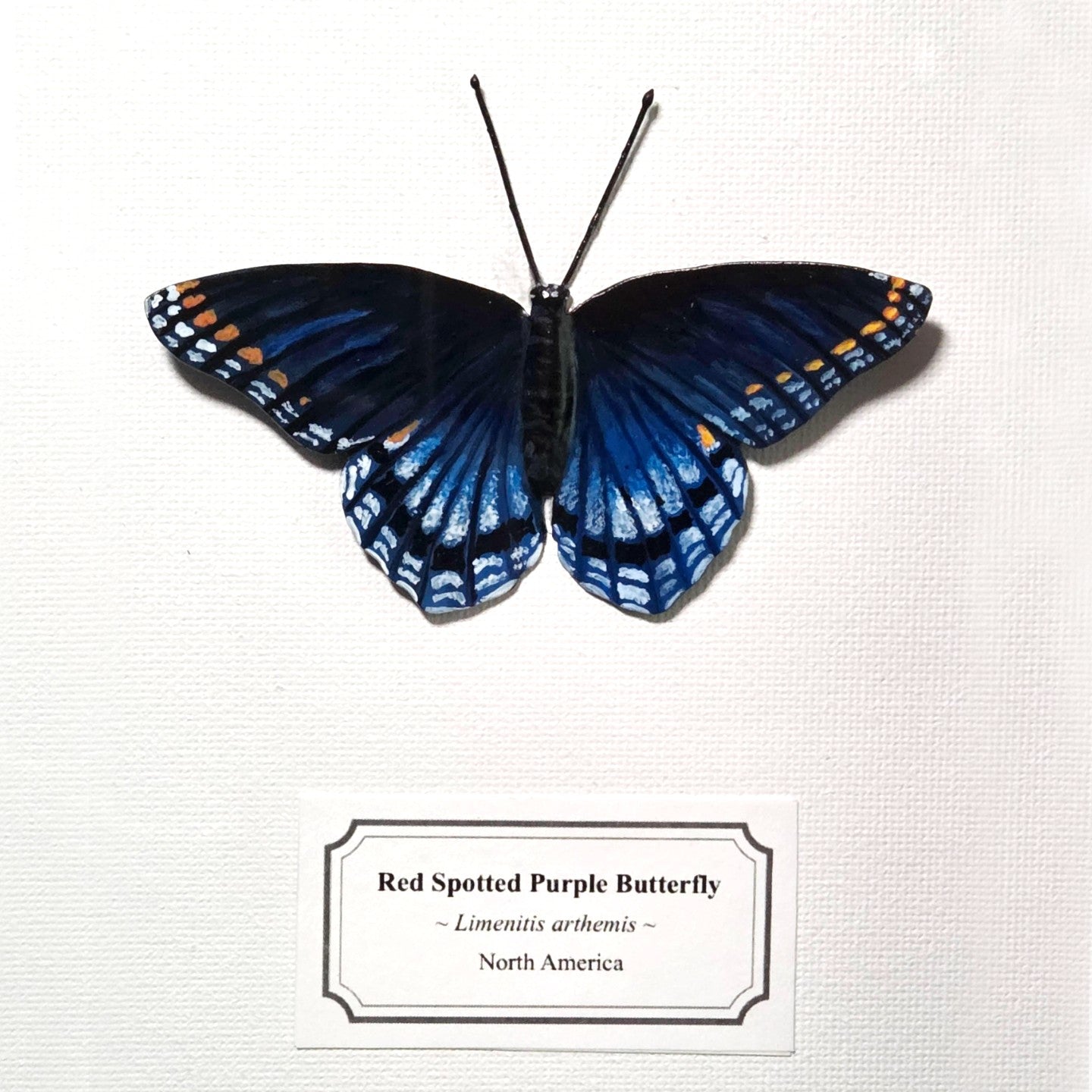 Faux Red Spotted Purple Butterfly