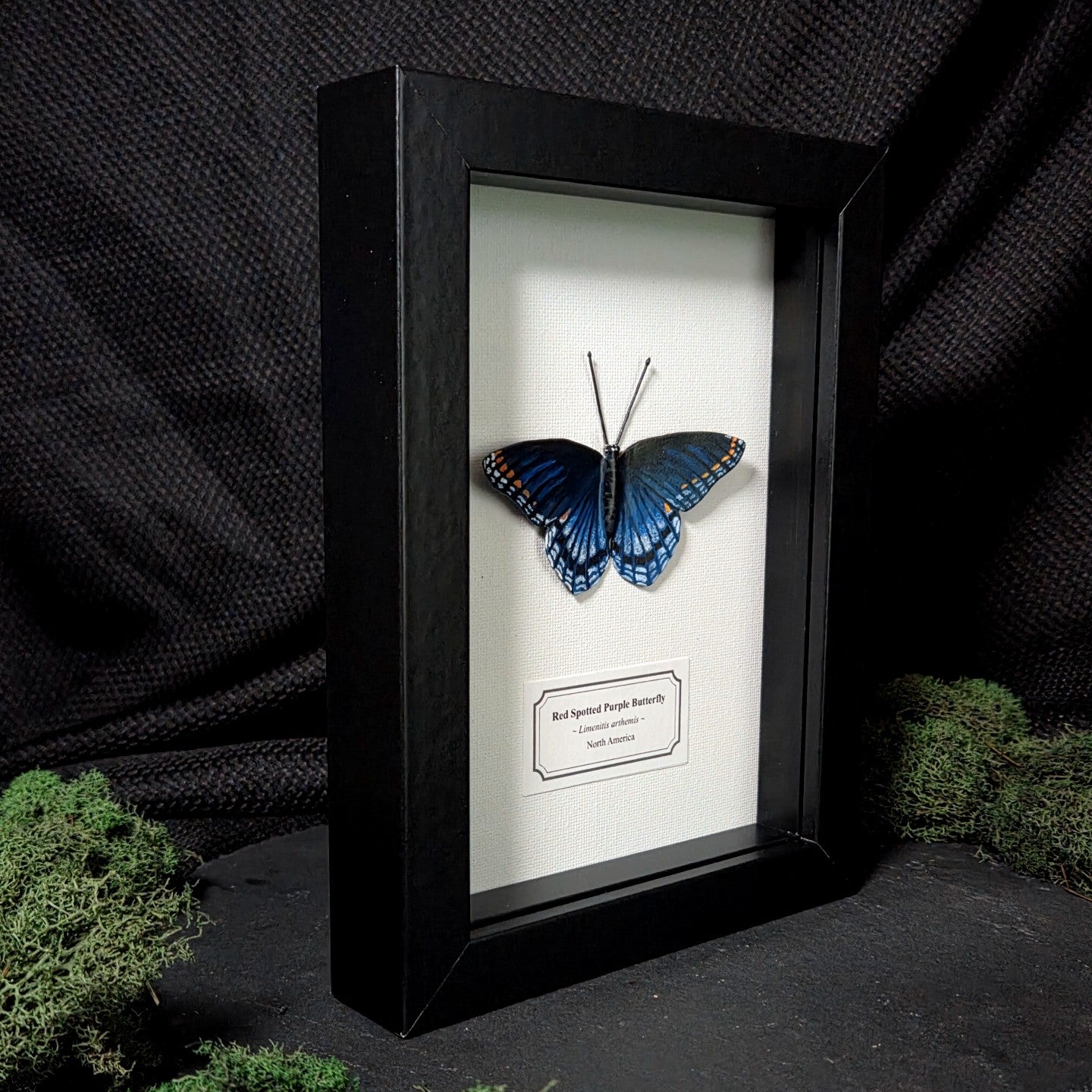 Faux Red Spotted Purple Butterfly